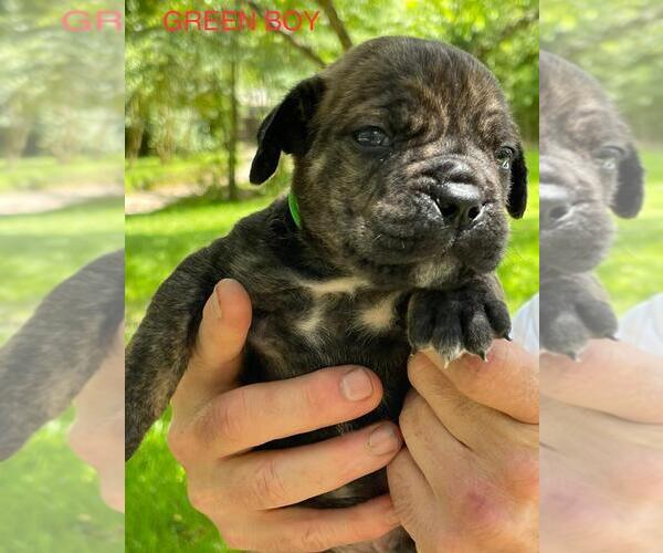 Medium Photo #1  Breeder Profile in HUNTINGTON, TX, USA