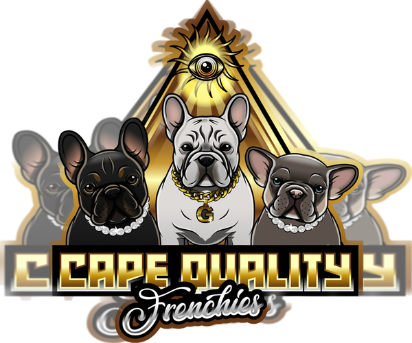 Medium Photo #1  Breeder Profile in CAPE CORAL, FL, USA