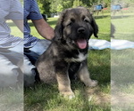 Small #48 Breeder Profile image