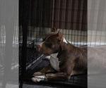 Small #2 Breeder Profile image