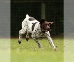 Small #1 Breeder Profile image