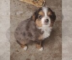 Small #2 Breeder Profile image