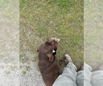Small #10 Breeder Profile image