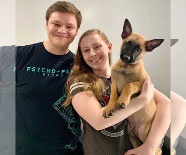 Medium Photo #7  Breeder Profile in S CHARLESTON, WV, USA