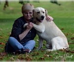 Small #12 Breeder Profile image