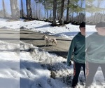 Small #2 Breeder Profile image