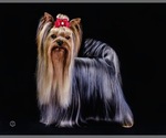 Small #3 Breeder Profile image