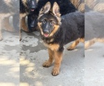 Small #7 Breeder Profile image