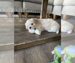 Small #8 Breeder Profile image