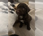 Small #3 Breeder Profile image