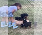 Small #8 Breeder Profile image