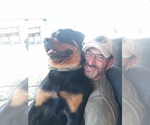 Small #6 Breeder Profile image