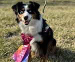 Small #17 Breeder Profile image