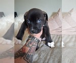 Small #8 Breeder Profile image