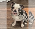 Small breeder photo