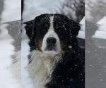 Small #4 Breeder Profile image