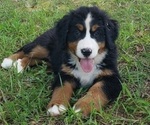Small #1 Breeder Profile image