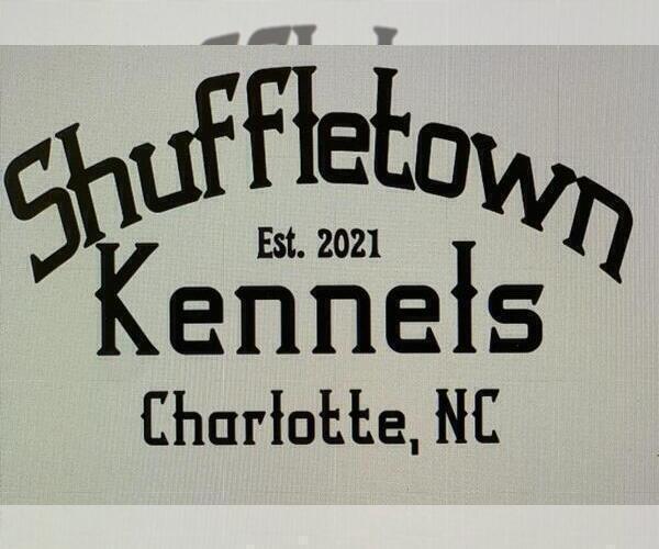 Medium Photo #1  Breeder Profile in CHARLOTTE, NC, USA