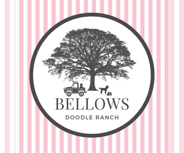 Medium Photo #1  Breeder Profile in THREE RIVERS, TX, USA