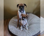 Small #13 Breeder Profile image