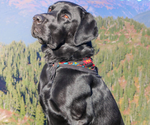 Small #8 Breeder Profile image