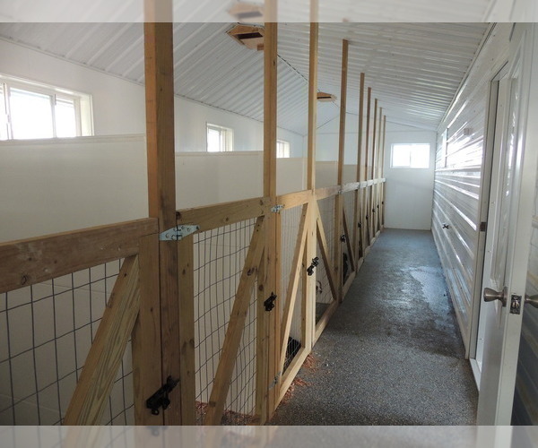 Medium Photo #5  Breeder Profile in CARLISLE, KY, USA