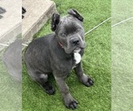 Small #3 Breeder Profile image