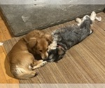 Small #4 Breeder Profile image