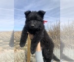 Small #134 Breeder Profile image