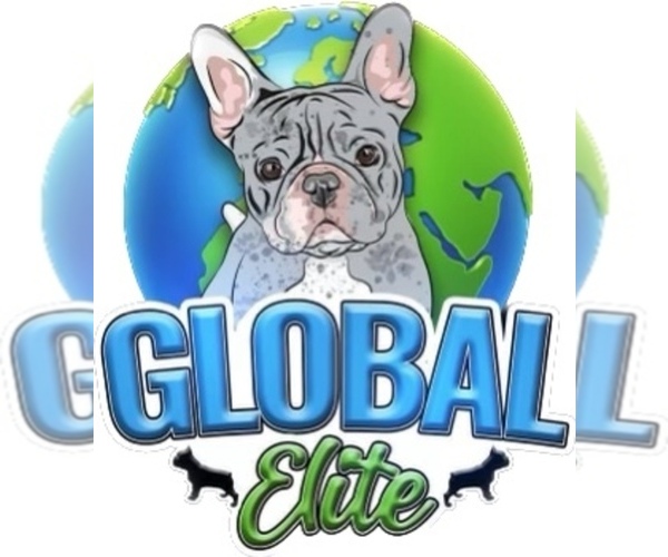 Medium Photo #1  Breeder Profile in ATLANTA, GA, USA