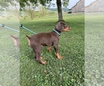 Small #3 Breeder Profile image
