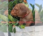 Small #7 Breeder Profile image