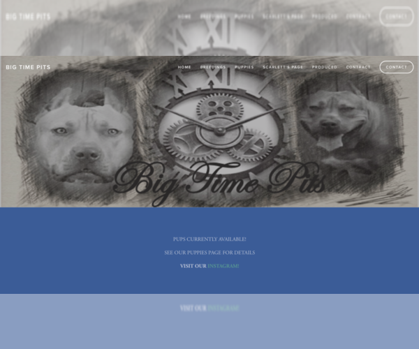 Medium Photo #1  Breeder Profile in SAN ANTONIO, TX, USA