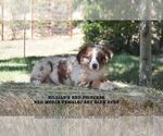 Small #10 Breeder Profile image