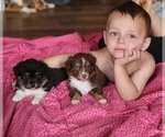 Small #18 Breeder Profile image