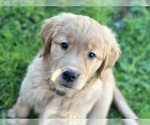 Small #2 Breeder Profile image