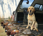Small #6 Breeder Profile image