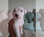 Small #13 Breeder Profile image