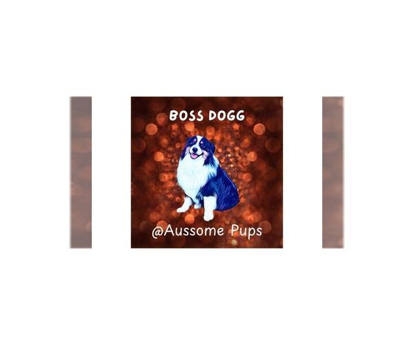 Medium Photo #2  Breeder Profile in LAKEVILLE, IN, USA