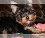 Small #7 Breeder Profile image