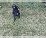 Small #13 Breeder Profile image