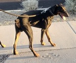 Small #3 Breeder Profile image