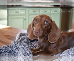 Small #5 Breeder Profile image
