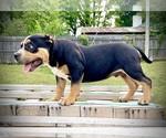 Small #3 Breeder Profile image