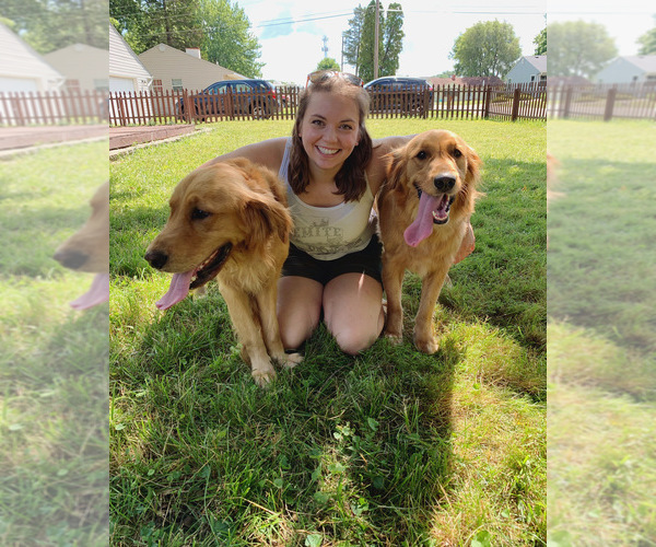 Medium Photo #1  Breeder Profile in SEATTLE, WA, USA