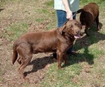 Small #13 Breeder Profile image