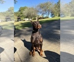Small #5 Breeder Profile image