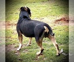 Small #22 Breeder Profile image