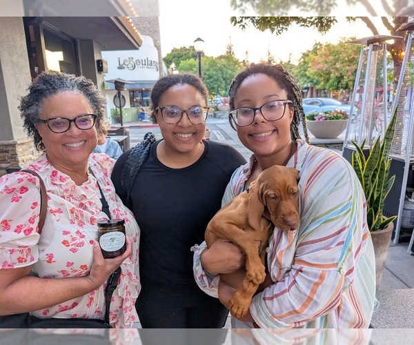 Medium Photo #12  Breeder Profile in LOS GATOS, CA, USA