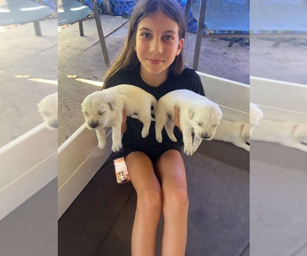 Medium Photo #1  Breeder Profile in SORRENTO, LA, USA